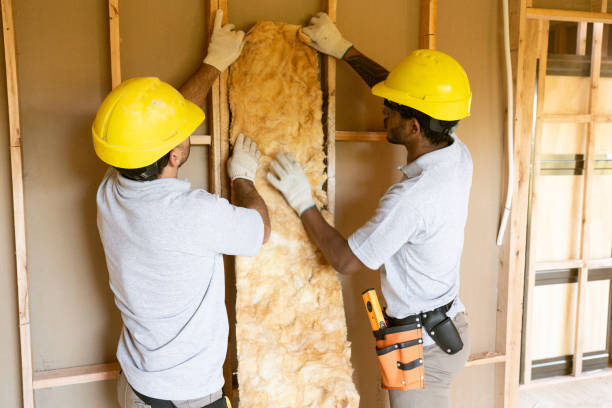 Best Wall Insulation Installation  in Mathis, TX